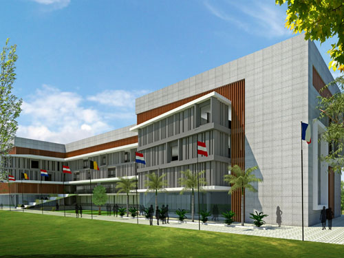 SPARKLING STAR CYGNUS